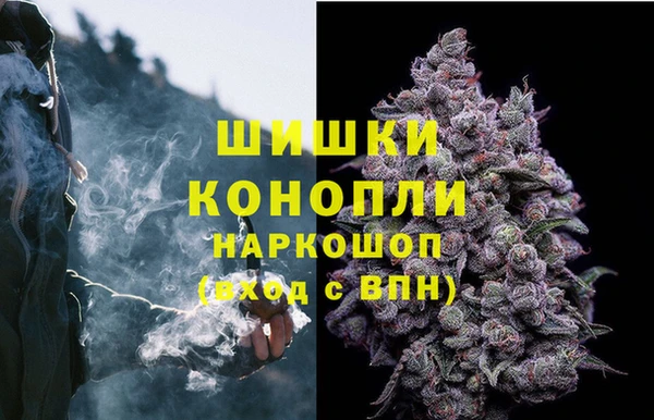 apvp Карабаш